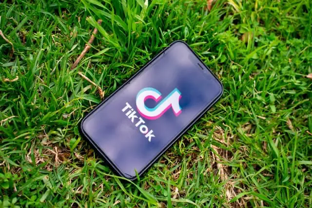 Can you really ban TikTok in the US?
