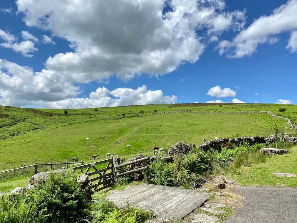 The view in Dartmoor